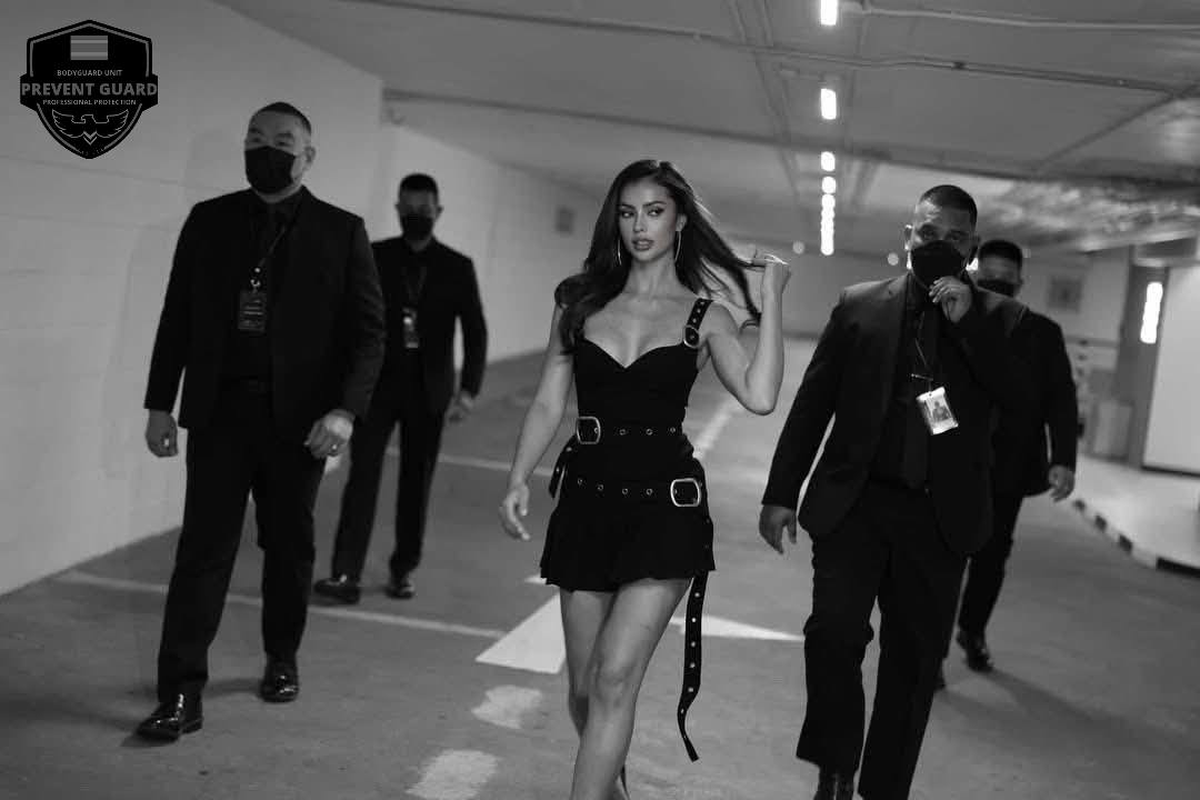 VIP Protection